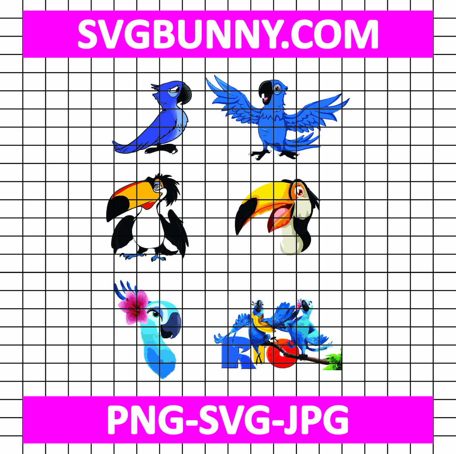 Bird Rio Cartoon Embroidery Design, Carnival SVG, Instant Download Carnival of Nightmares PNG File Bird Rio Cartoon Embroidery Design, Carnival SVG, Instant Download